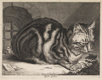 TvB G 3188
          <br/>
          De grote kat
          <br/>
          <em>Visscher, Cornelis (1629-1658)</em>